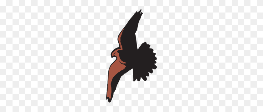 162x298 Hawk Wings Clip Art, Royalty Free Birds Of Prey Stock Wildlife Designs - Red Tailed Hawk Clipart
