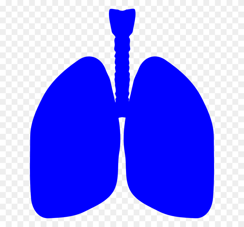634x720 He Thought He Had A Lung Tumor It Was A Tiny Toy He Inhaled - Pneumonia Clipart