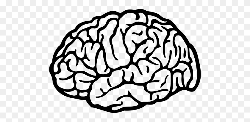 512x352 Голова Мозги, Голова, Значок Человека В Png И Векторном Формате Бесплатно - Мозг Клипарт Черно-Белый