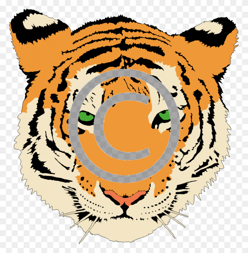 782x800 Head Of A Tiger Tigerstock Tigers - Tiger Head PNG