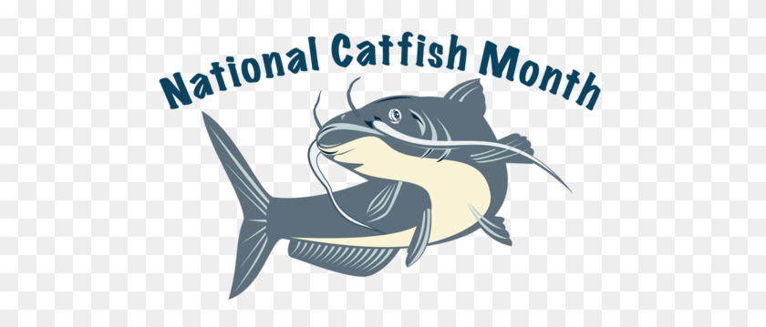 500x299 Health Benefits Of Catfish And Heartland Catfish Vendor Profile - Catfish PNG