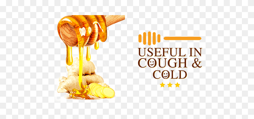 500x334 Health Benefits Of Ginger And Honey Dabur Honey - Ginger PNG