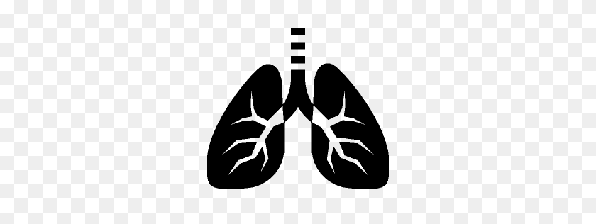 256x256 Healthcare Lungs Icon Windows Iconset - Lungs PNG