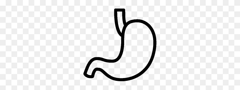 256x256 Healthcare Stomach Icon Ios Iconset - Stomach PNG