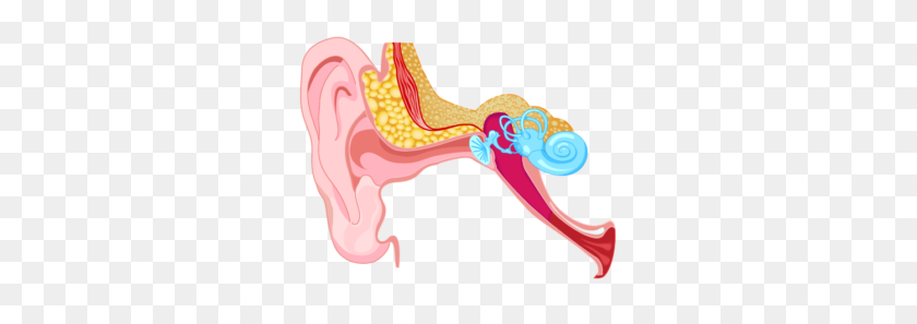 300x237 Hearing Health Your Hearing Network - Hearing Aid Clip Art