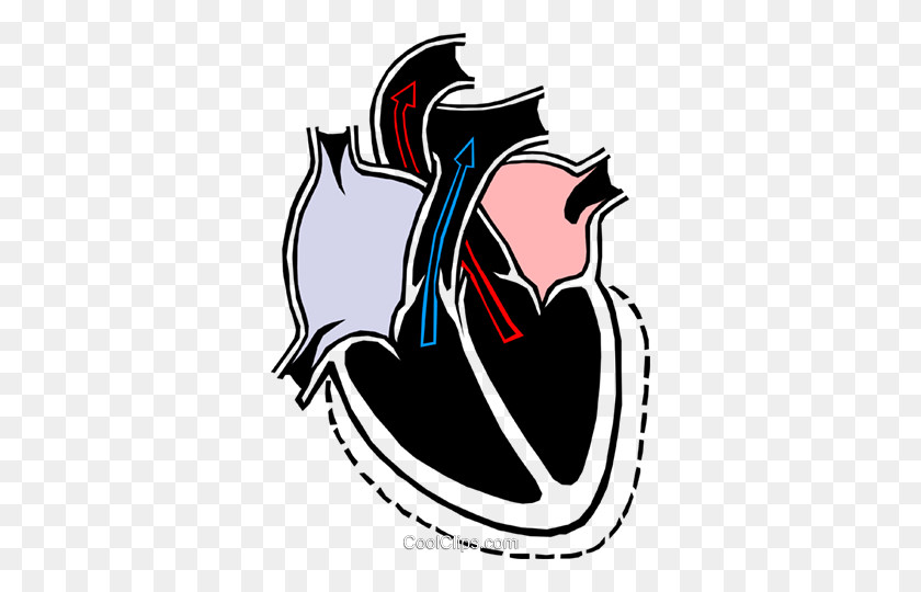346x480 Heart Chambers Royalty Free Vector Clip Art Illustration - Heart Anatomy Clipart