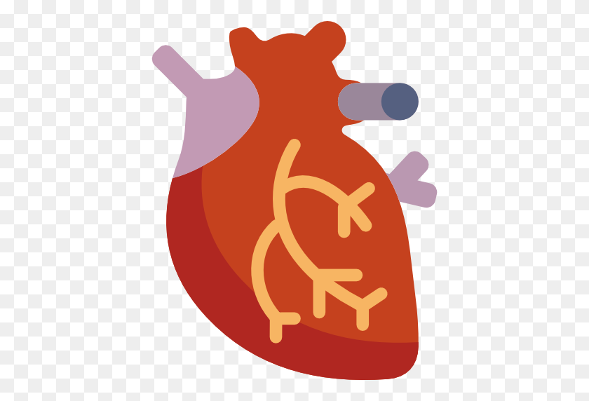 512x512 Значок Сердца Myiconfinder - Человеческое Сердце Png