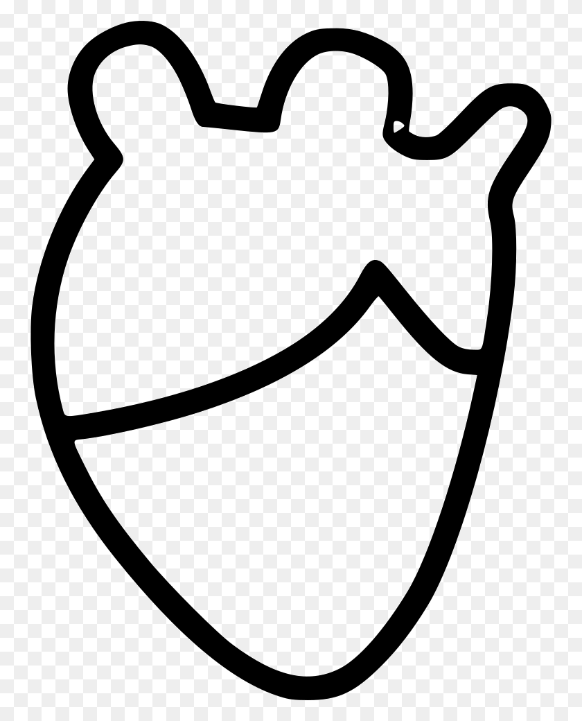 752x980 Сердце Настоящая Анатомия Png Значок Скачать Бесплатно - Настоящее Сердце Png