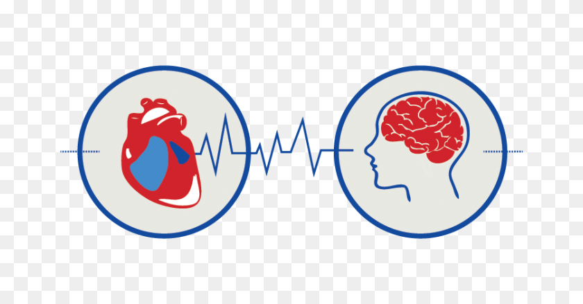 837x407 Heart Rhythm Society En Twitter The Afib Stroke Connection - Charco De Sangre Png