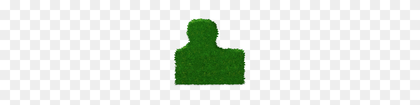 150x150 Heart Shaped Topiary Tree Gt Pet In Wonderland Pet City - Topiary PNG