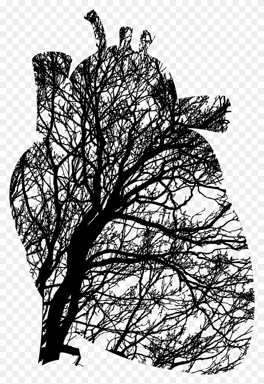 1562x2328 Сердце Иконы Ветки Дерева Png - Ветка Дерева Png