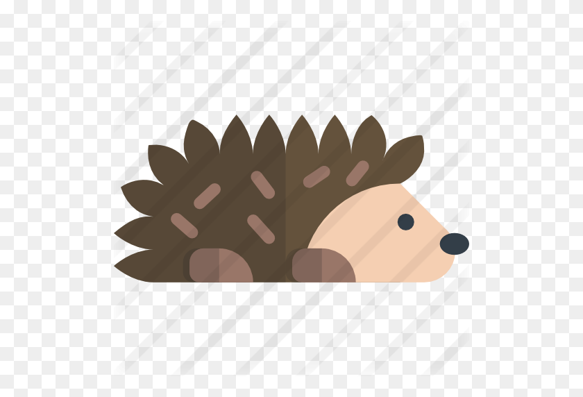 512x512 Hedgehog - Porcupine PNG