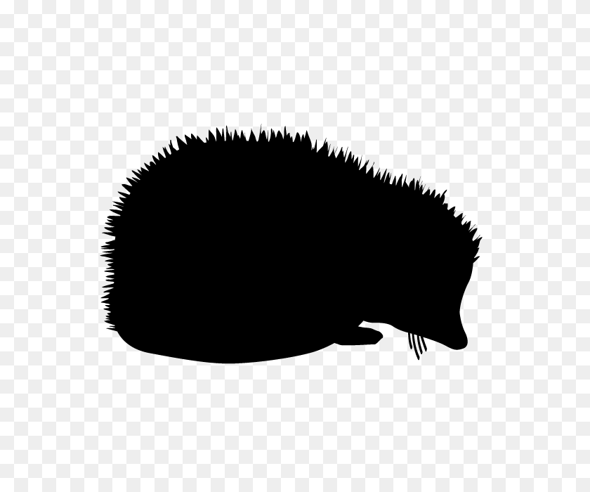 640x640 Hedgehog Animal Silhouette Free Illustrations - Hedgehog Clipart