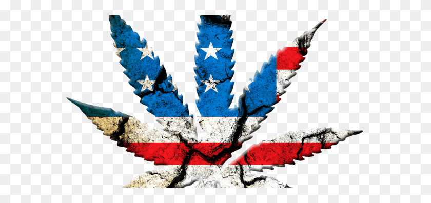 702x336 Hellomd Y Cómo La Tecnología Está Abordando El Problema De La Marihuana Medicinal - Bandera De California Png