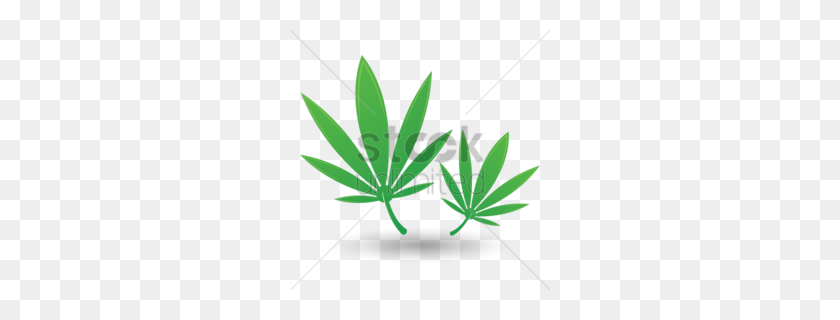 260x260 Hemp Family Clipart - Marijuana Leaf Clip Art