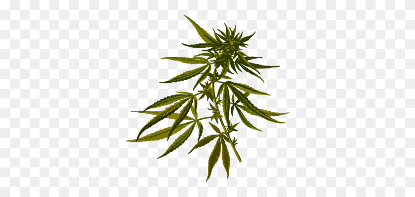 332x340 El Cáñamo De Las Plantas De Cannabis Medicinal Cannabidiol - Planta De Marihuana Png