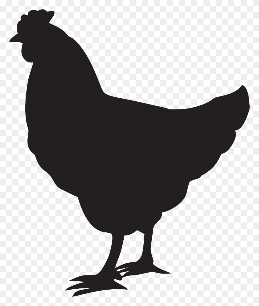6577x7842 Hen Silhouette Png Clip Art - Chicken Clipart Black And White