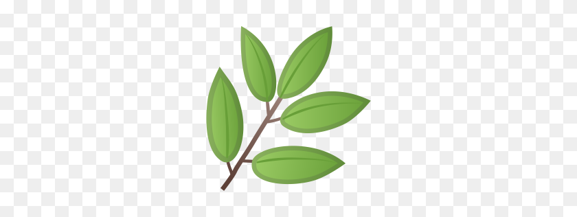 256x256 Herb Icon Noto Emoji Animals Nature Iconset Google - Eucalyptus PNG