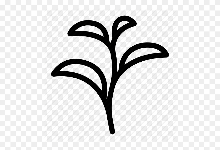 512x512 Herbal, Leaf, Plant, Tea, Tea Leaves Icon - Tea Leaf Clip Art