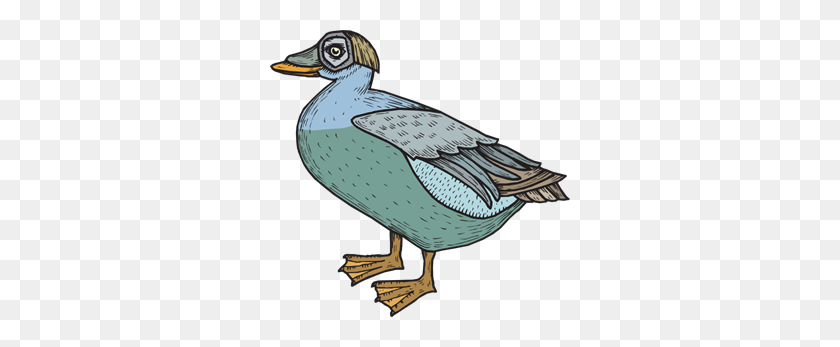 300x287 Here Png Images, Icon, Cliparts - Mallard Clipart