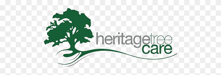 509x226 Heritage Tree Care Brisbane's Leading Tree Care - Tree Logo PNG