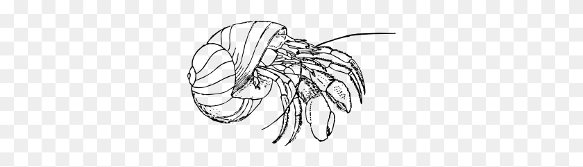 300x181 Hermit Crab Clip Art - Crab Black And White Clipart