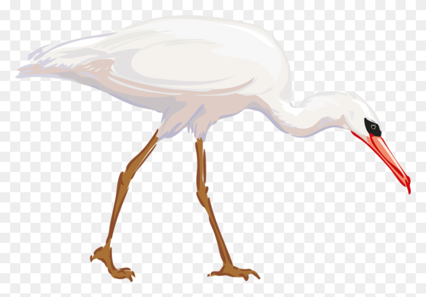 800x541 Heron Bird Great Egret Clip Art - Crane Bird Clipart