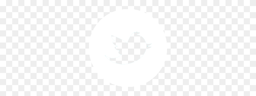 256x256 Hftv - Logotipo De Twitter Png Blanco