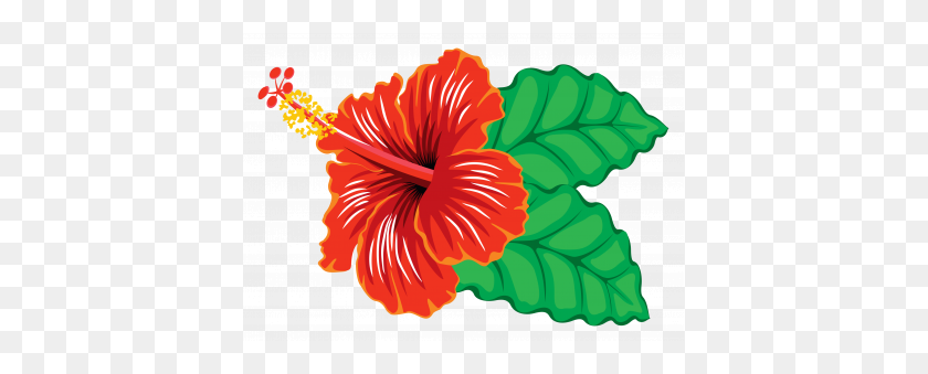 399x279 Hibiscus Clipart Clip Art Images - Hibiscus Flower PNG