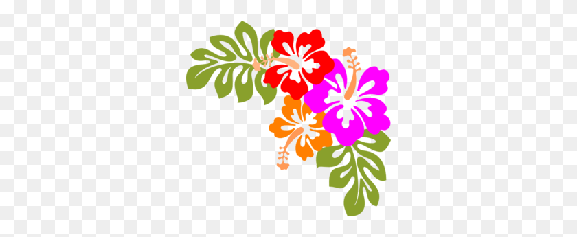 298x285 Цветок Гибискуса Картинки Посмотреть На Цветок Гибискуса Картинки - Мексиканские Цветы Клипарт