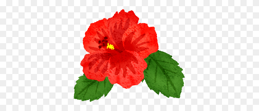 361x300 Hibiscus Free Clipart Illustrations - Hibiscus PNG
