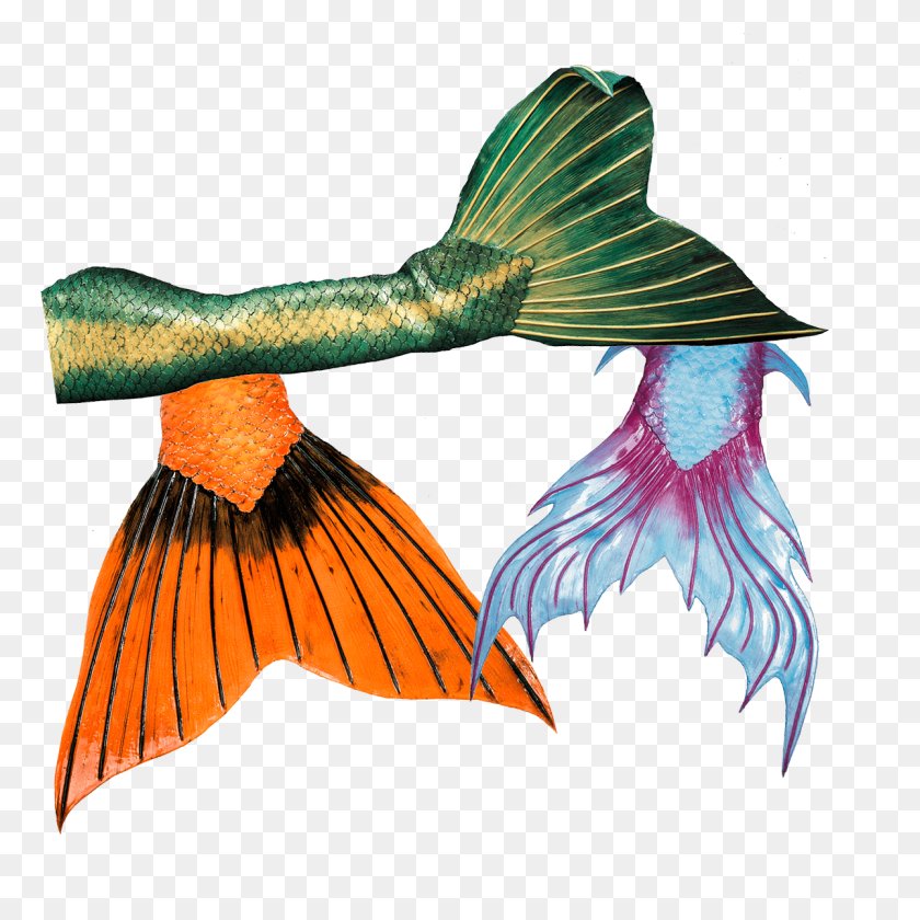 1200x1200 High Quality Mermaid Tails - Mermaid Tail PNG