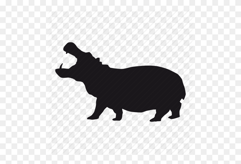 512x512 Hippo, Zoo Icon - Hippo PNG