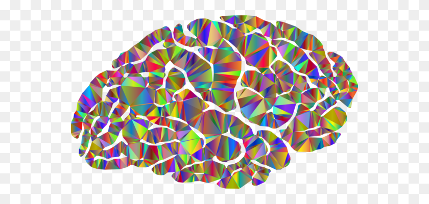 562x340 Hipocampo Daño Cerebral Cerebro Humano Memoria - Cerebro Png