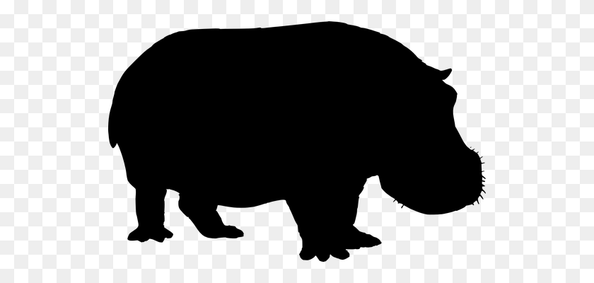 534x340 Hippopotamus Clipart Realistic Animal - Rhinoceros Clipart