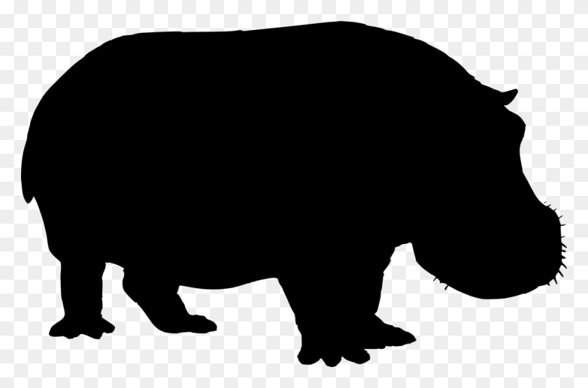 960x610 Hippopotamus Rhinoceros Clip Art - Hippo Clipart Black And White