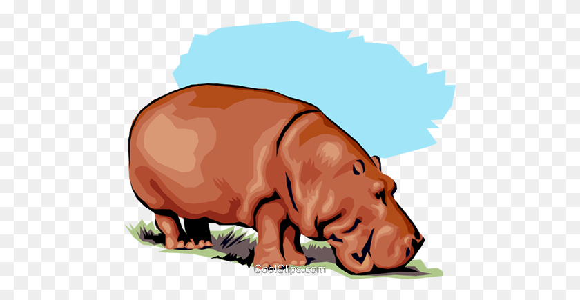 480x375 Hipopótamo Libre De Regalías Vector Clipart Ilustración - Hipopótamo Clipart