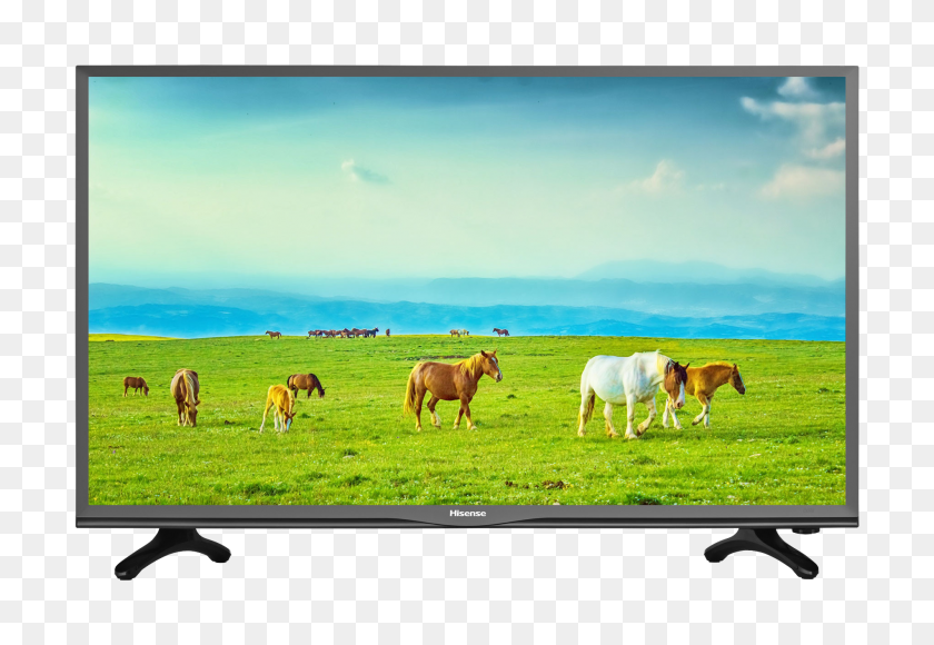 1900x1267 Справедливая Цена Hisense Tv - Поле Травы Png