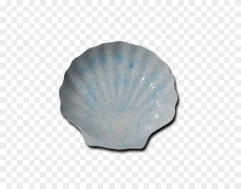 600x600 Hnh - Blue Shell PNG