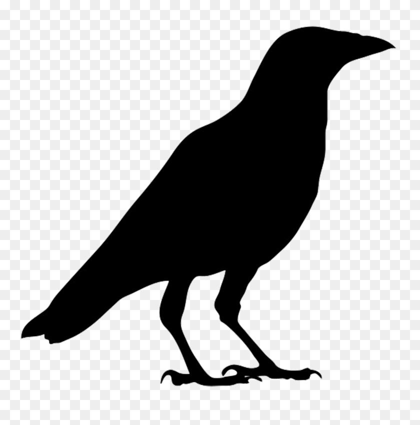 1169x1185 Ideas Navideñas De Halloween - Raven Clipart En Blanco Y Negro
