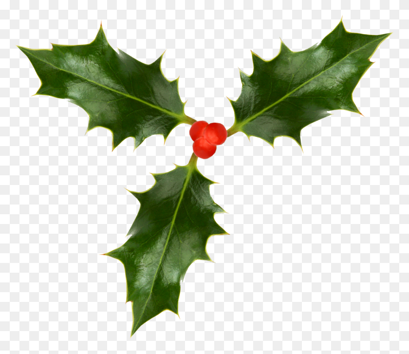 1323x1132 Holly - Holly Leaves PNG