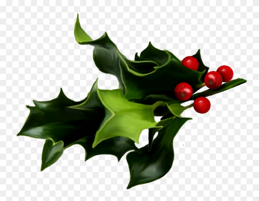 1121x854 Holly And Ivy Png Transparent Holly And Ivy Images - Mistletoe Clipart PNG