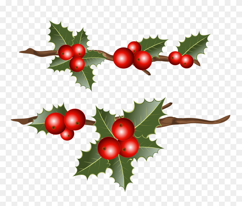 4265x3583 Holly Branches Png Clipart - Pine Branch PNG