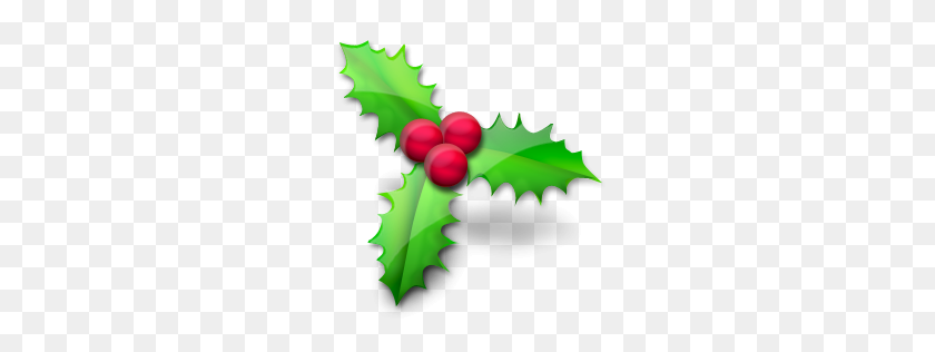 256x256 Holly, Christmas Icon - Holly Leaves PNG