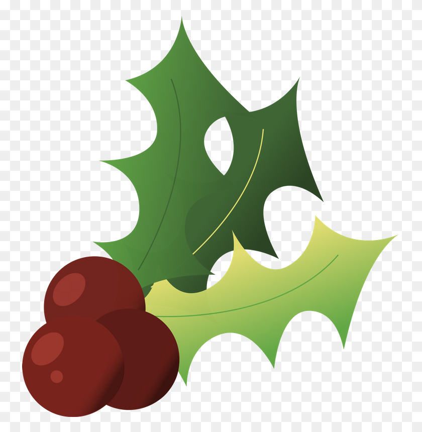 751x800 Holly, Christmas, Winter, Christmas Holly, Red - Holly Leaves PNG