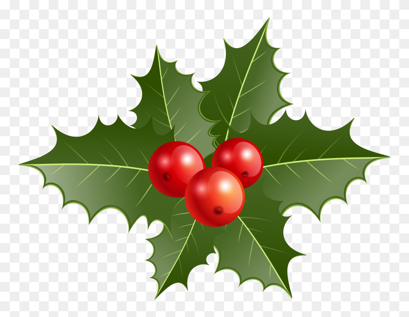 8000x6081 Holly Flower Clip Art, Holly Leaf Images - Holly Garland Clipart