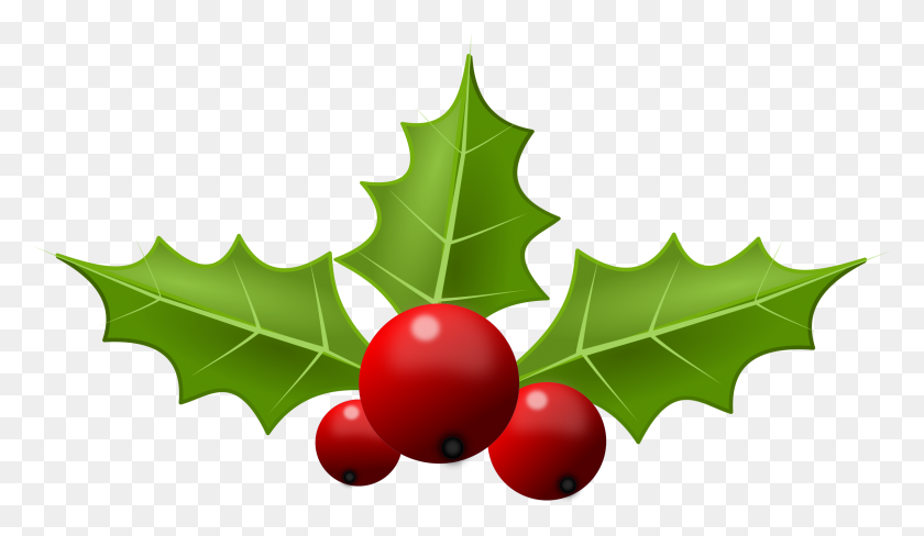 2400x1319 Holly Leaves Png Png Image - Holly Leaves PNG