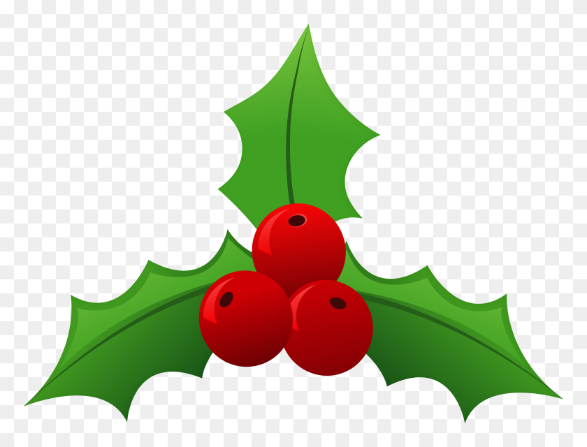 8000x5957 Holly Png Clip Art - Holly Clipart Transparent Background