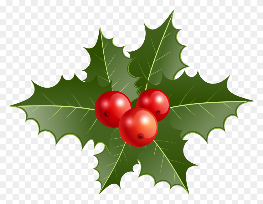 7835x5956 Holly Png Clip Art, Is Available For Free Download - Holly PNG