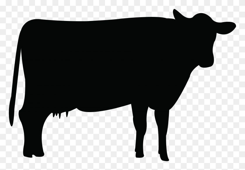 3840x2583 Holstein Friesian Cattle Livestock Clip Art - Cow PNG